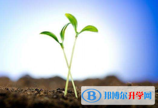 2020年曲靖查詢中考成績上哪個網站