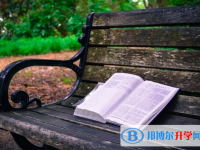 2020年曲靖網上查詢中考成績怎么查詢