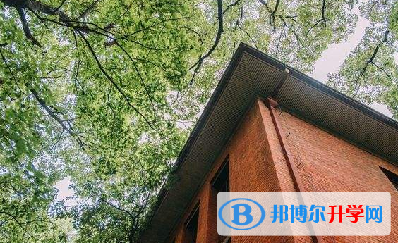 寶睿未來國際小學怎么樣、好不好