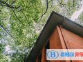 寶睿未來國際小學(xué)怎么樣、好不好
