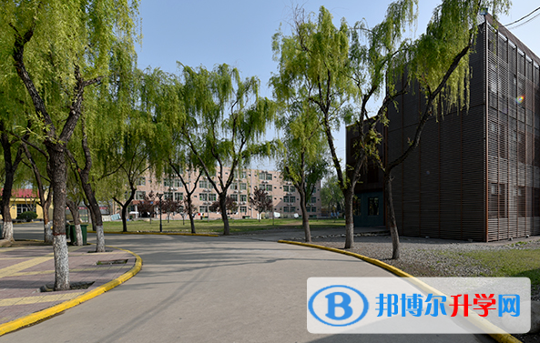 西安博愛國際學校小學部2020年招生計劃