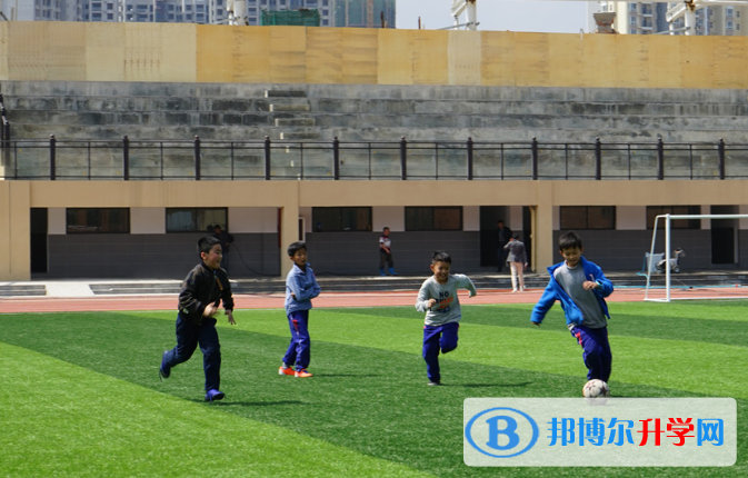 貴陽一中普瑞國際學校初中部2020年學費、收費多少