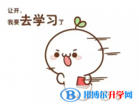 2020年曲靖中考報考人數