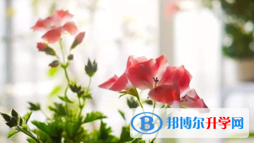  2020年曲靖中考報名需要帶什么