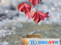 2020年曲靖中考報(bào)名號(hào)
