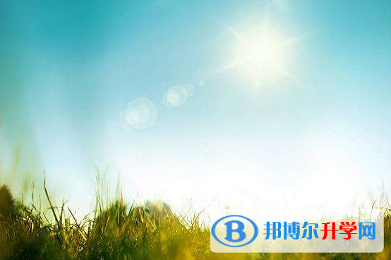 2020年曲靖中考服務(wù)平臺