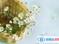 2020年曲靖中考成績重點線