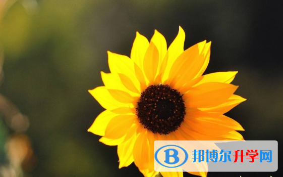 2020年曲靖中考成績(jī)出來(lái)了嗎