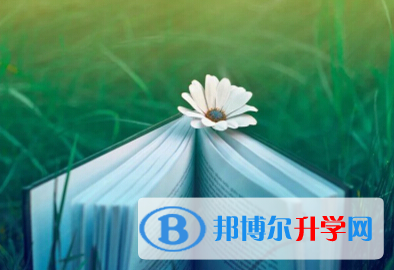  2020年玉溪中考錄取規劃線