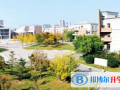 東北育才學(xué)校國際高中2023年招生辦聯(lián)系電話