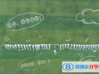 2020年玉溪中考網絡應用服務平臺