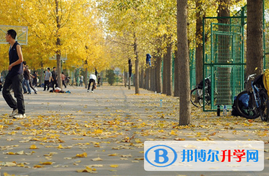 長春盈佳外國語學校2020年學費、收費多少