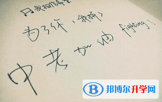  2020年玉溪中考網中考查詢