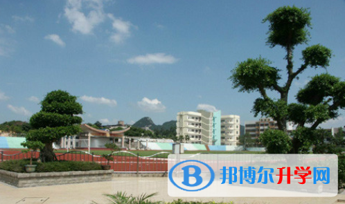 柳州鐵路第一中學國際部網站網址 