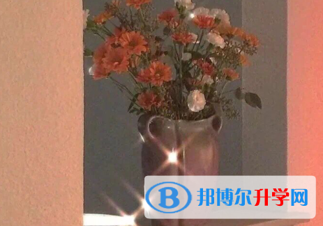  2020年玉溪中考預估重