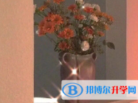 2020年玉溪中考預估重
