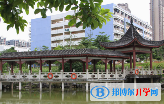 南寧二中國際部2020年招生計劃