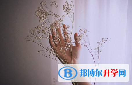 2020年玉溪中考自主招生成績