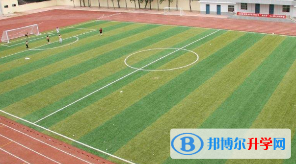 安徽中加學校2020年招生辦聯系電話