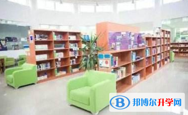 安徽中加學校網站網址 