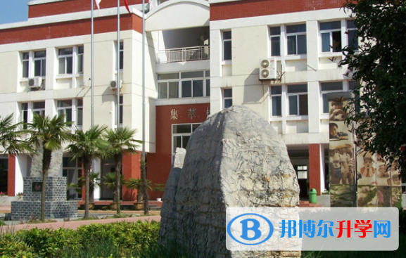 合肥世界外國語學校2020年招生辦聯系電話