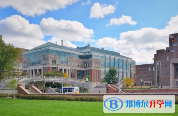 遼寧實驗中學國際部網站網址 
