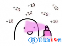 2020年玉溪中考的統招和調劑說明