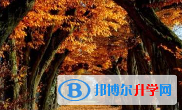 2020年玉溪中考具體時間