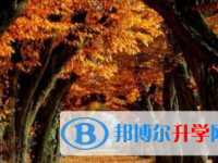 2020年玉溪中考具體時間