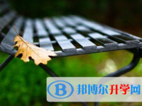 2020年玉溪中考升學率
