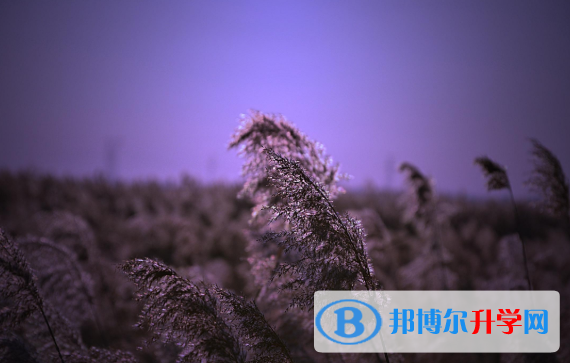 2020年玉溪中考準考證