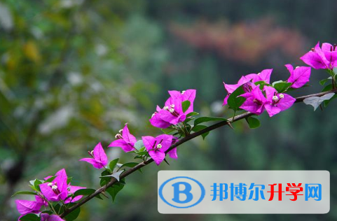 中考要求以及注意事項