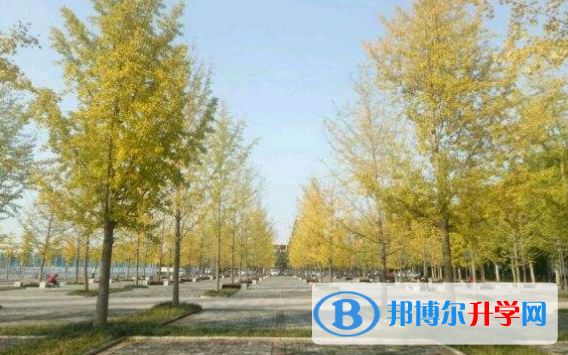 太原北辰雙語學(xué)校2020年報(bào)名條件、招生要求、招生對(duì)象