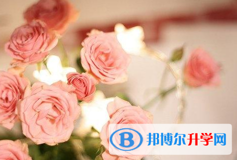 2020年玉溪中考沒有考上怎么辦