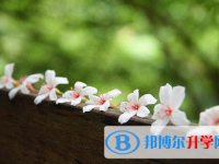 2020年玉溪中考沒有被學校錄取咋辦