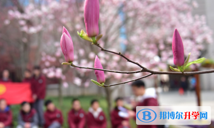 上海延安高級中學(xué)國際部2023年學(xué)費(fèi)、收費(fèi)多少