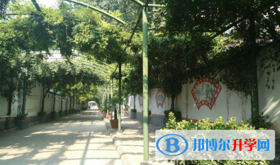 陜西師范大學(xué)附中英中培訓(xùn)中心2020年報名條件、招生要求、招生對象