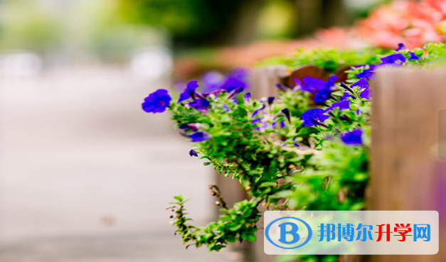 嘉興二十一世紀外國語學校網(wǎng)站網(wǎng)址 