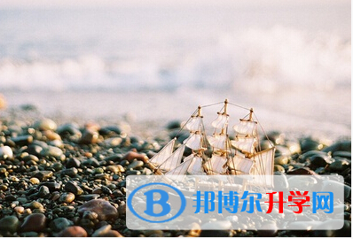 2020年保山中考成績查詢時間