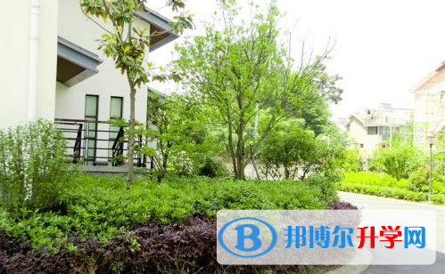 浙江常春藤國際高中2020年報名條件、招生要求、招生對象