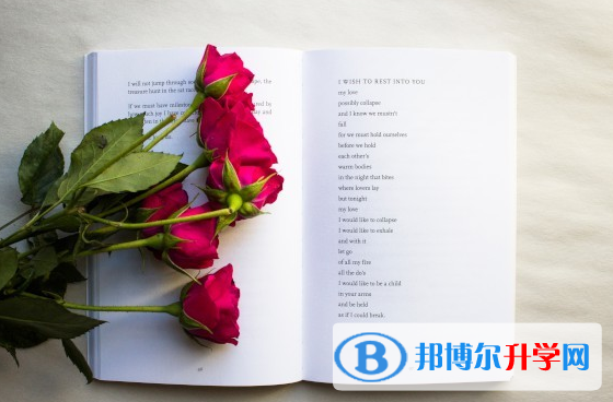 2020年邵通中考人數