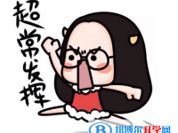 2020年邵通中考網(wǎng)上報(bào)名模擬