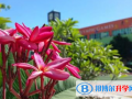 深圳青之藤國際學(xué)校2023年招生辦聯(lián)系電話