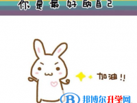 2020年邵通中考網中考查詢