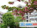 天津泰達(dá)楓葉國際學(xué)校2023年招生計(jì)劃