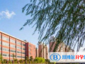 上海復旦大學附屬中學國際部2023年報名條件、招生要求、招生對象