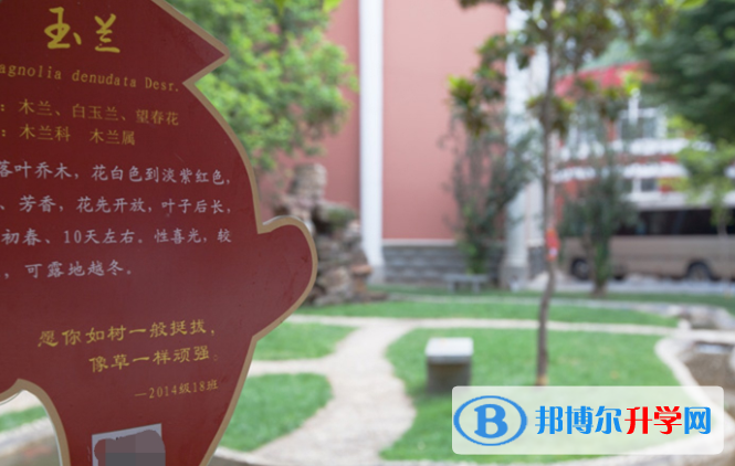 石家莊第一中學國際部網站網址 