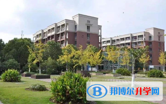 科橋學院網站網址 