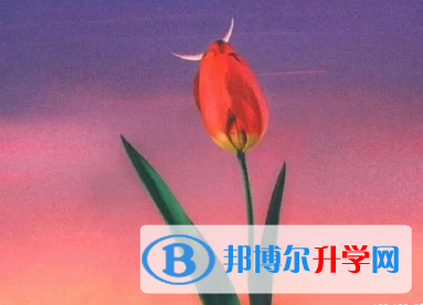 2020年麗江中考是否有高價生