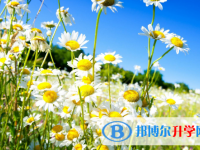 2020年麗江如果中考沒考上讀什么好